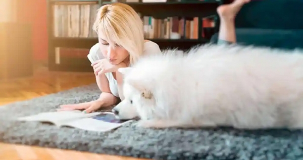 7 Major Points Why Magazine Advertising Works!